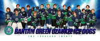 bantam_green