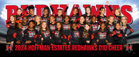d10Cheer