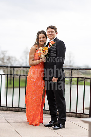 sps_0041_1008865229