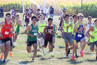 LTHS24_XC_011