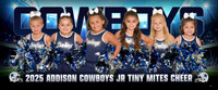 jr_tiny_mites_chr