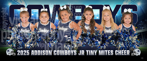 jr_tiny_mites_chr