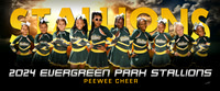 peeweecheer-ng_