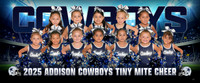 tiny_mite_chr