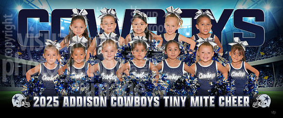 tiny_mite_chr