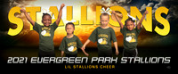 lil_stallions_chr