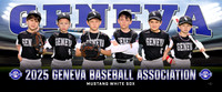 mustang_whitesox