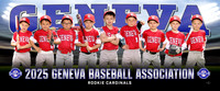 rookie_cardinals