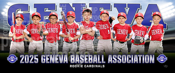 rookie_cardinals