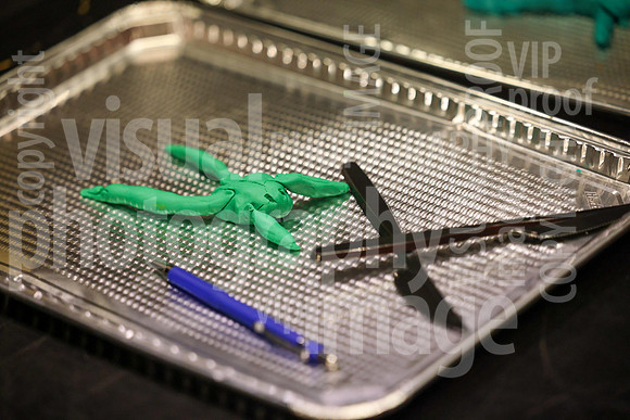 sps_0004_1008243860