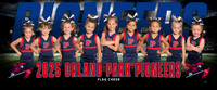 flagcheer