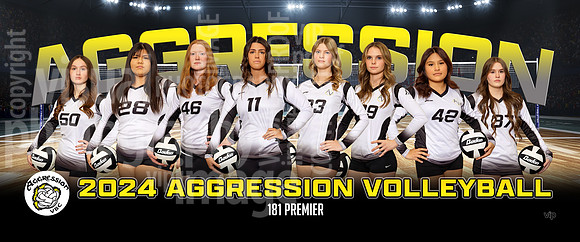 181premier-g_