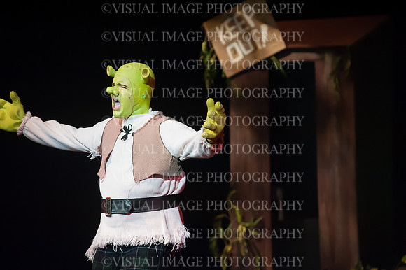 LZHS_0013
