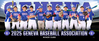 minor_cubs