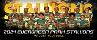widgetfootball-ng_