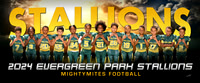mightymitesfootball-ng_