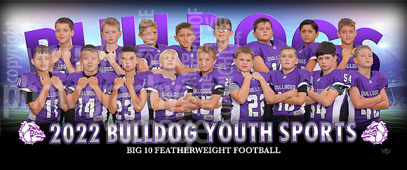 big10_feather