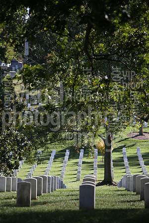 sps_1032_1011426238