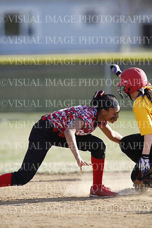 TFHS_081