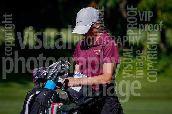 sps_0038_1010157145