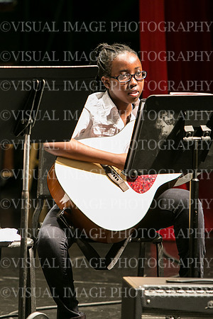 HWFM-Guitar_0016