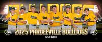 12uGold