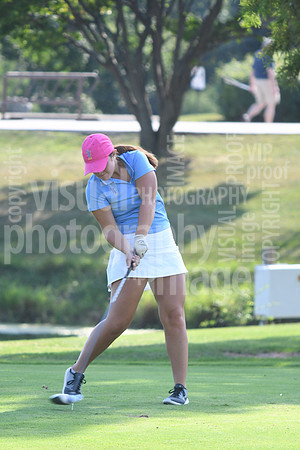 sps_0328_1010093311