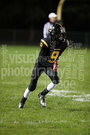 BDHS_041