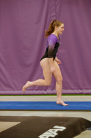 sps_0001_1008207106