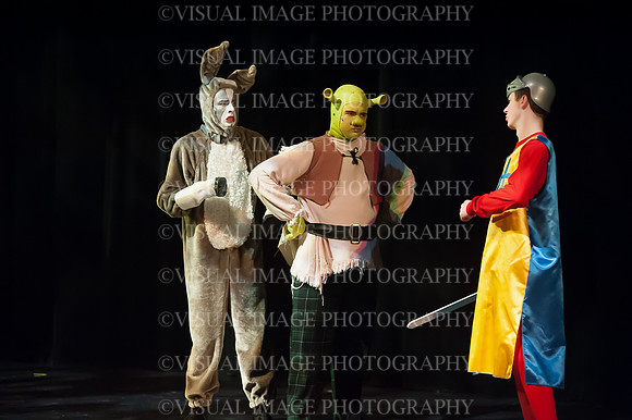 LZHS_0040