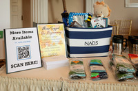 NADS-010