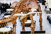 sps_0010_1037111942