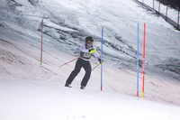 sps_0020_1008215103