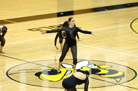 sps_0006_1008226983