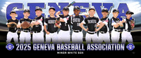 minor_whitesox