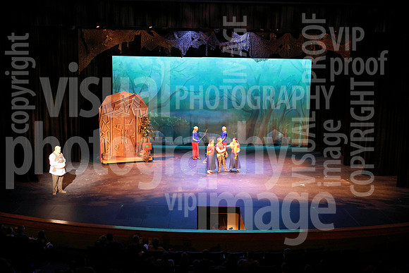 sps_0028_1036865422