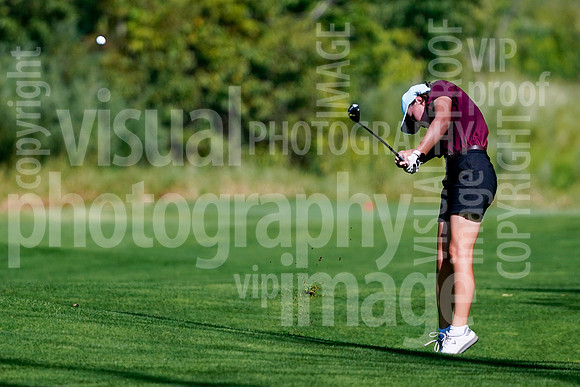 sps_0027_1010157110