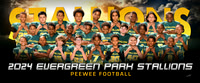 peeweefootball-ng_