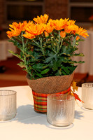DIVI_0005