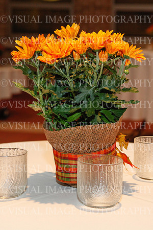 DIVI_0005