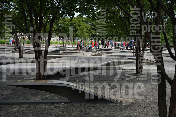 SSHF_DMM1-225
