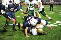 SVHS_009