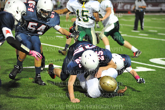 SVHS_009