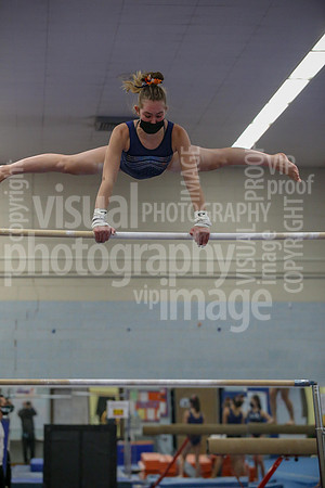 sps_0022_1008208255
