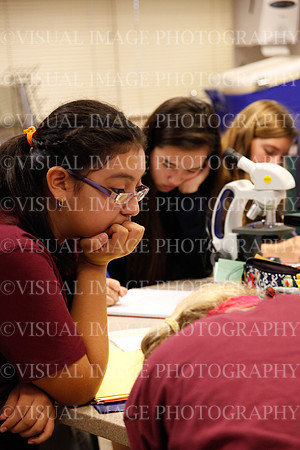 DIVI_0017