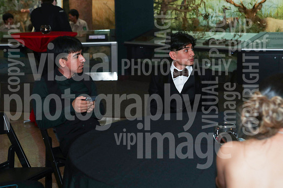 sps_0073_1008960193
