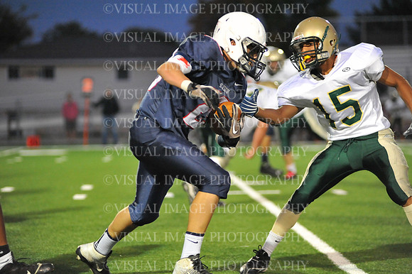 SVHS_017
