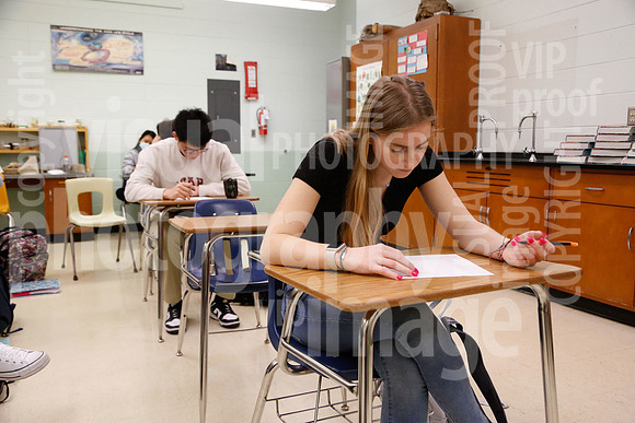 sps_0043_1008401749