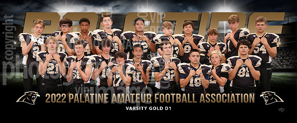 varsitygoldd1