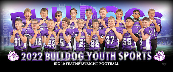 big10_feather2